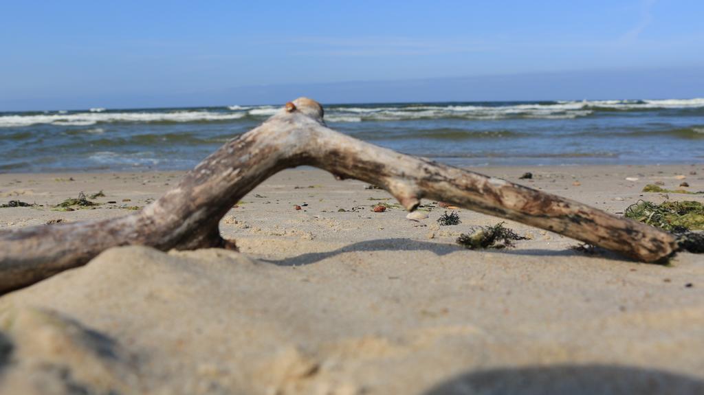 Vila Tekila Palanga Exteriör bild